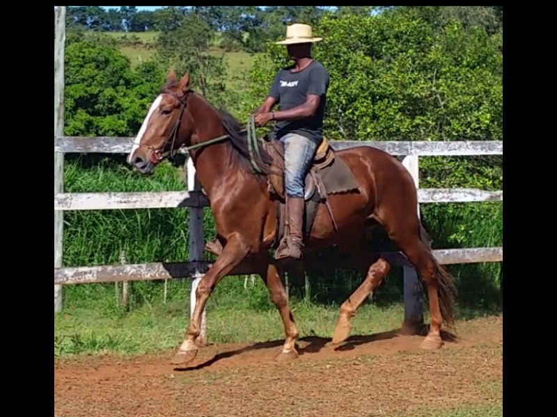JUPITER DO HBV