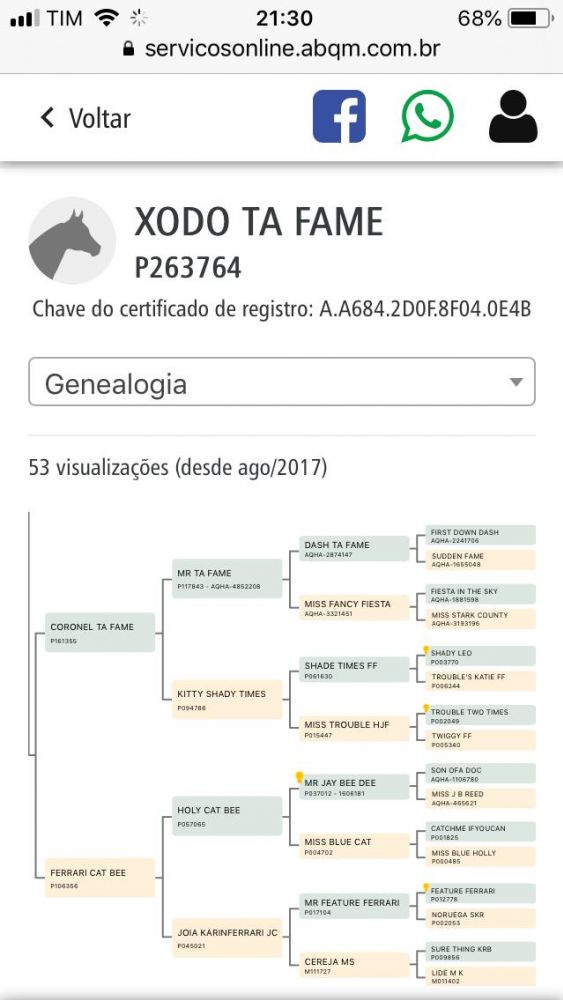 POTRO QUARTO DE MILHA - XODO TA FAME 