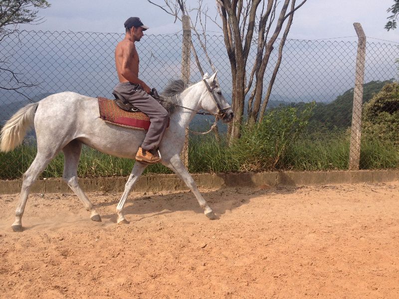 DAMA VHC