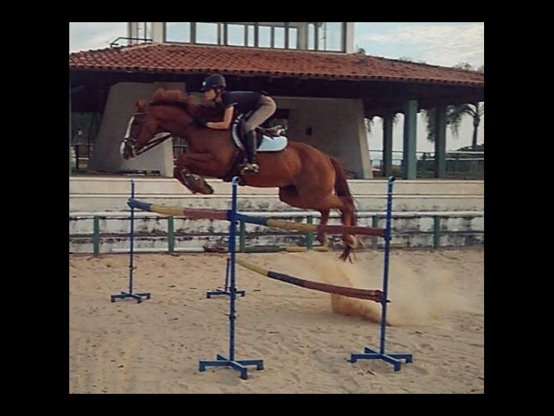 ZARIF M.A