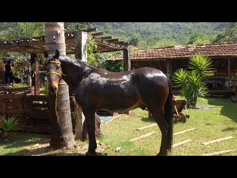 OURO PRETO