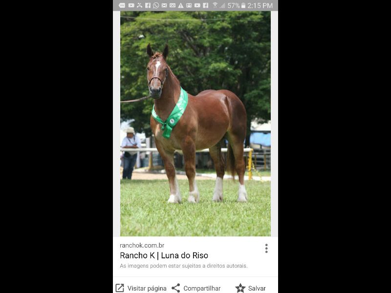 LUNA DO RISO