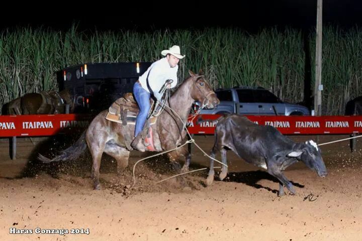CANASTRA