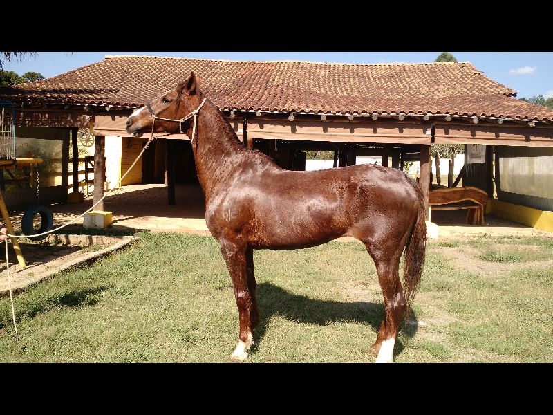 BETANIA OJC