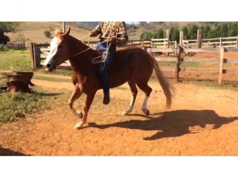 JERRY COOSA HTR