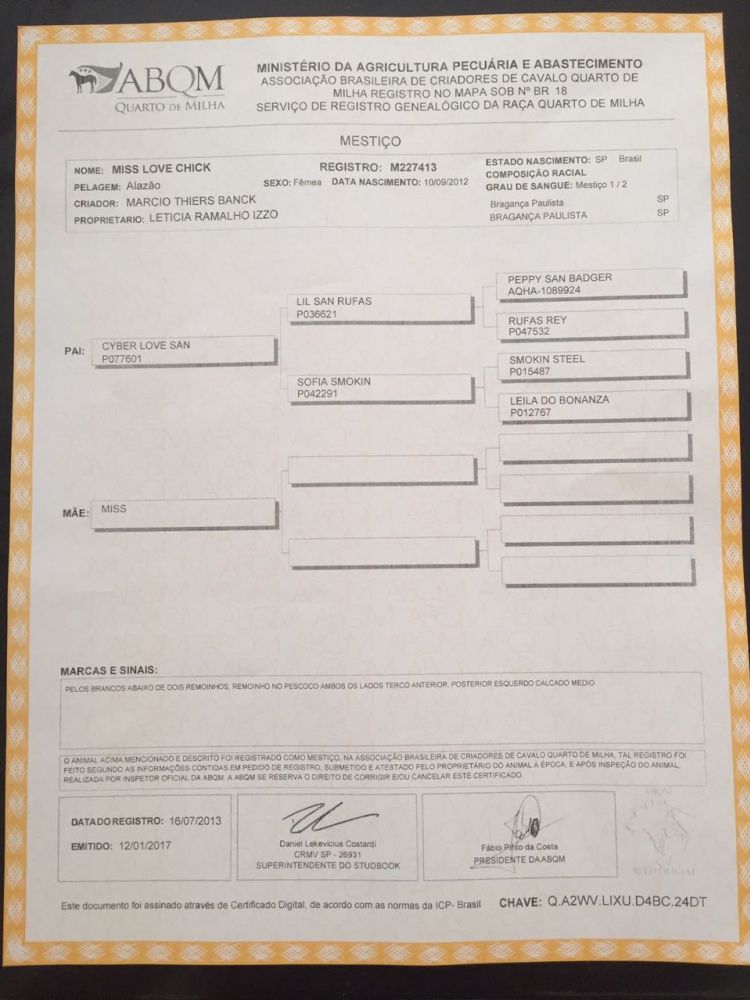 ÉGUA PRA TAMBOR 