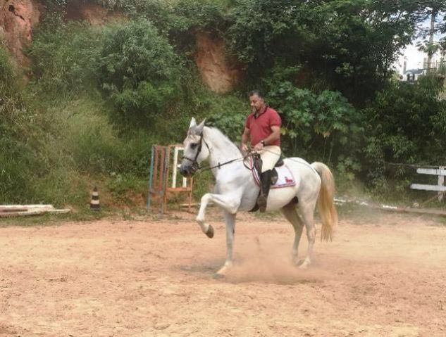 GAROTO