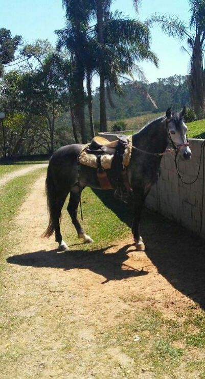 GALÁN