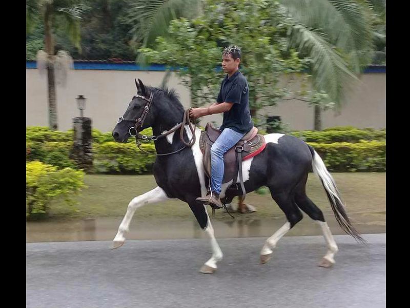 APACHE