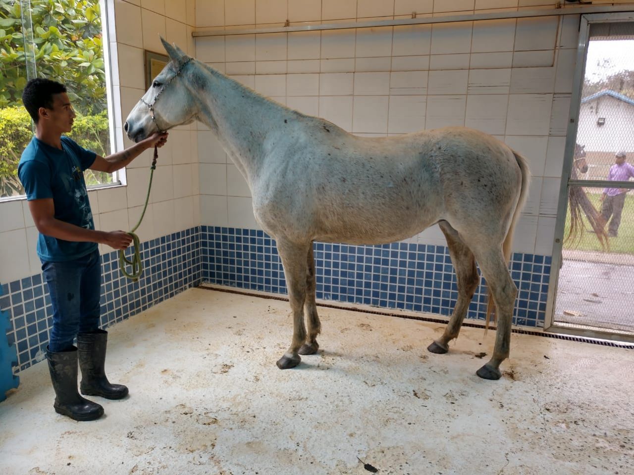 ÉGUA PUTUHEPA