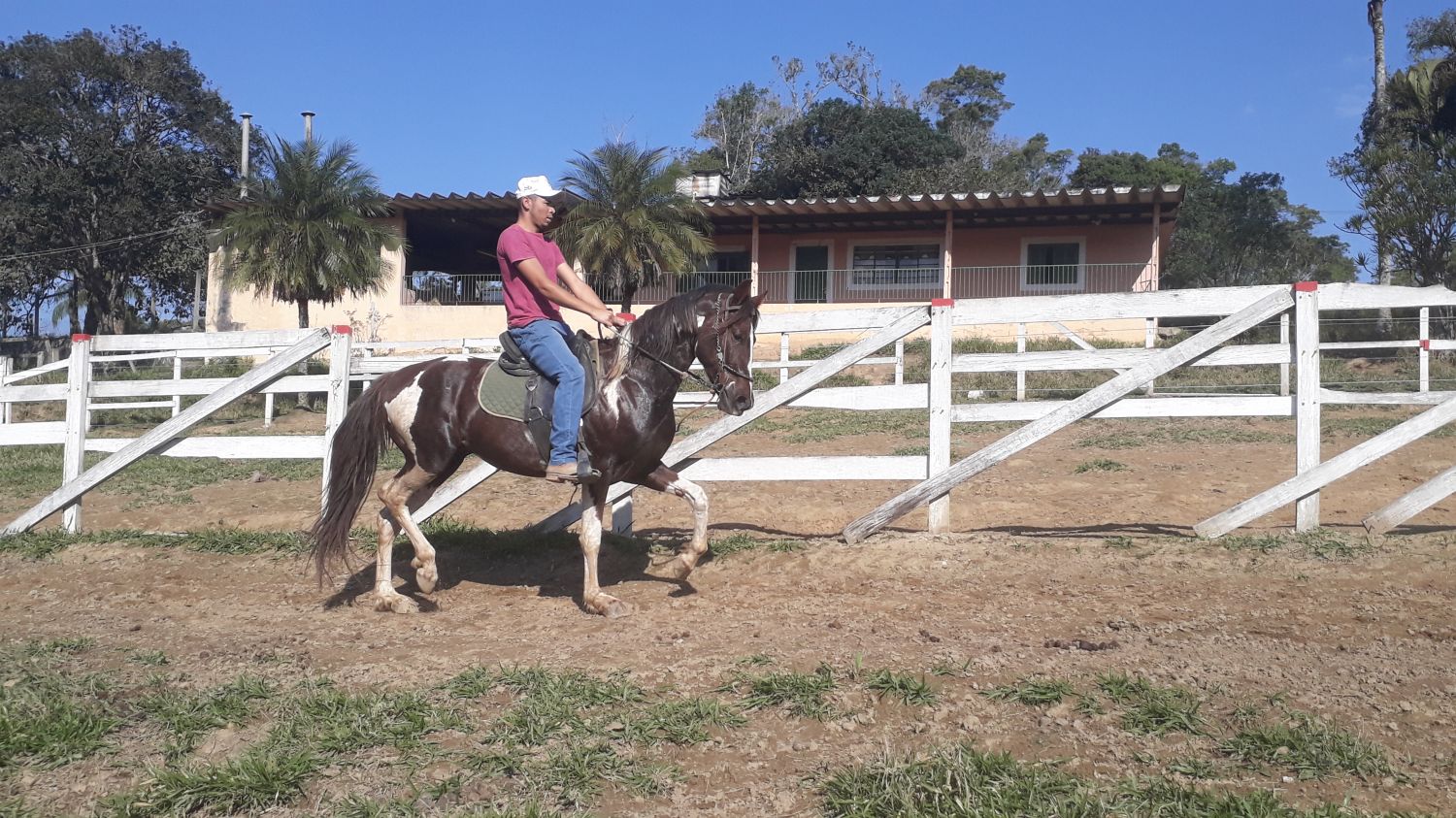 OURO SETE QUEDAS