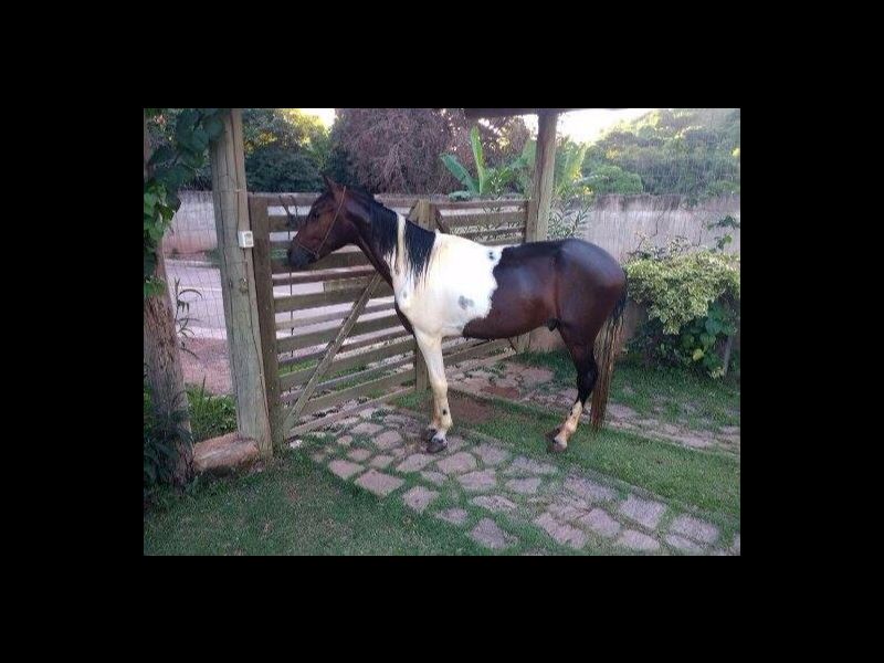 COMANCHE