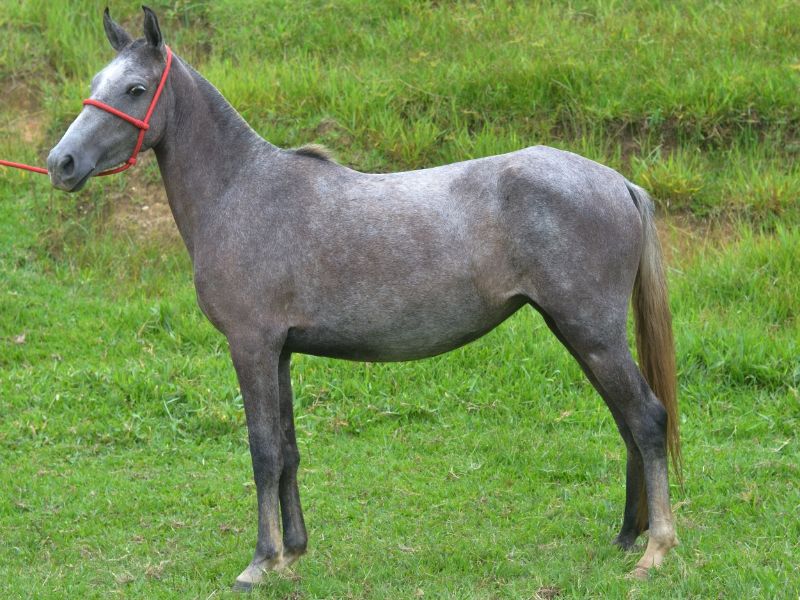 LUNA