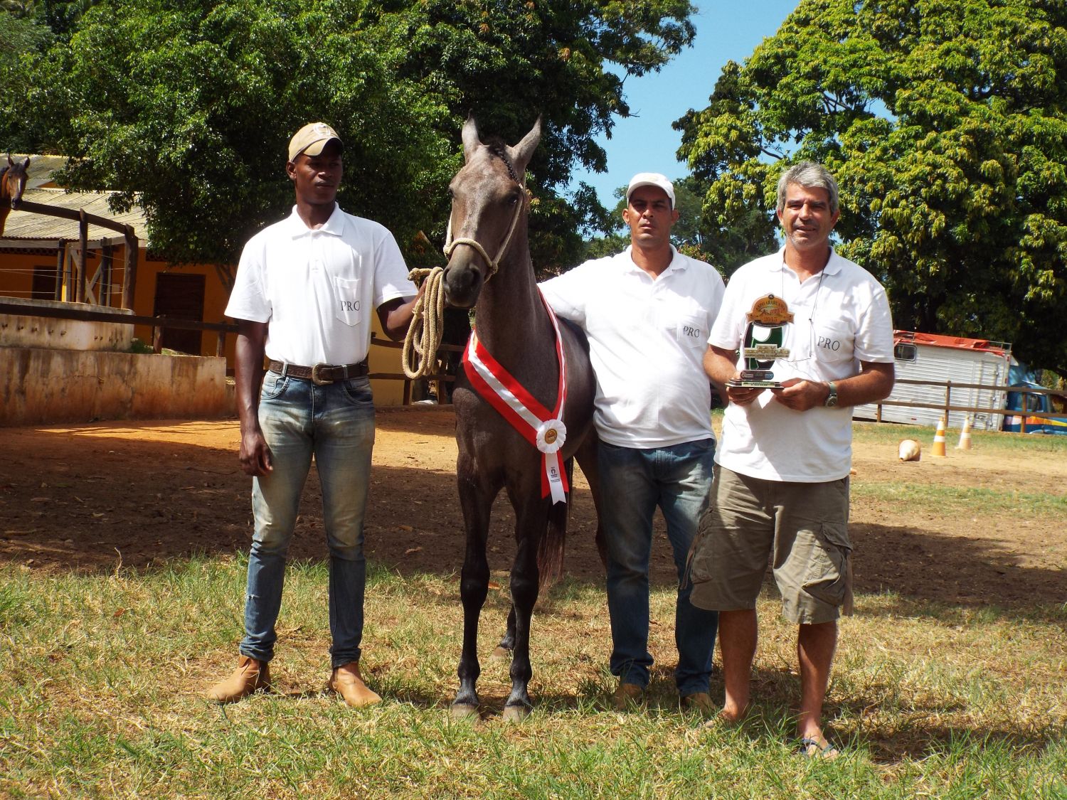 GARANHÃO MARCHADOR TOP