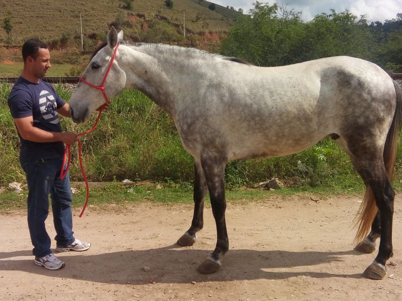 CIGANO