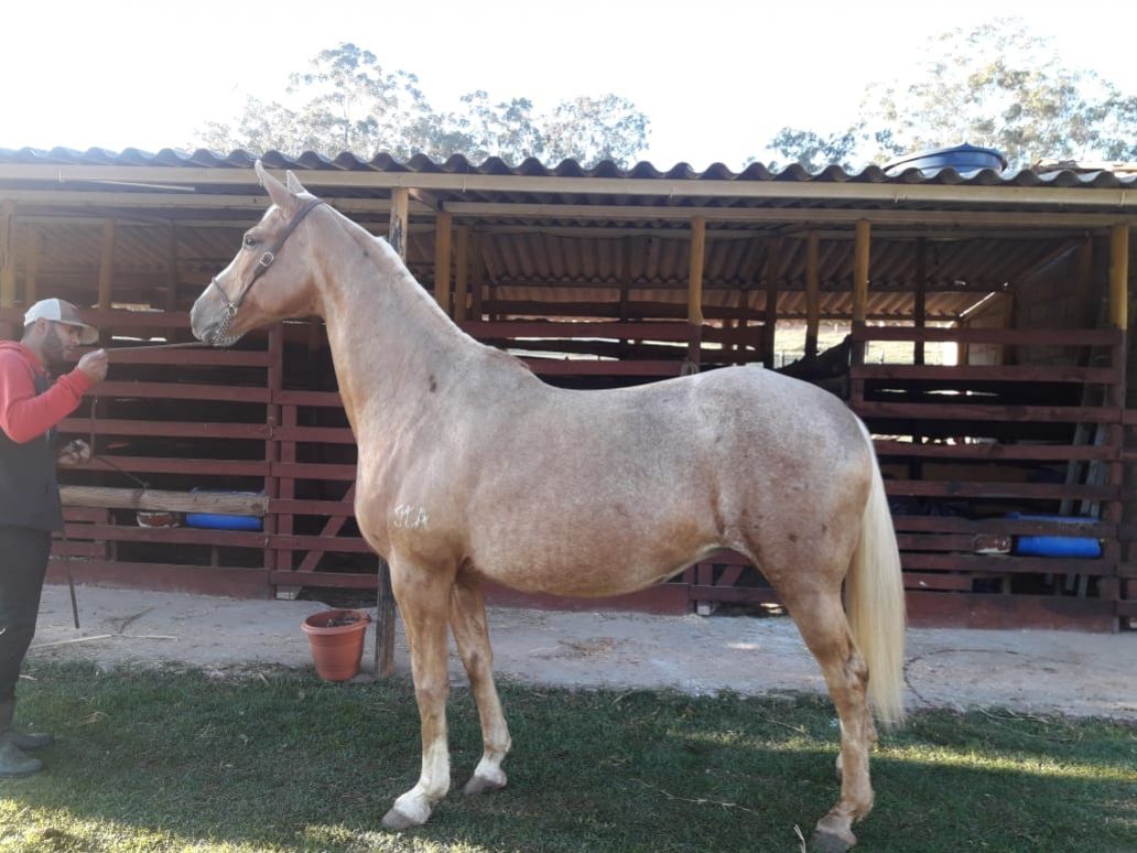 BRUNA DA ITACUMBI