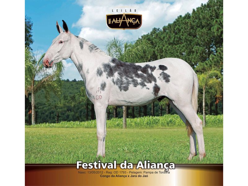 FESTIVAL DA ALIANÇA