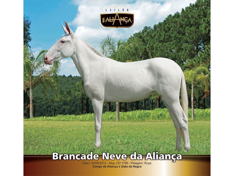 BRANCA DE NEVE DA ALIANÇA