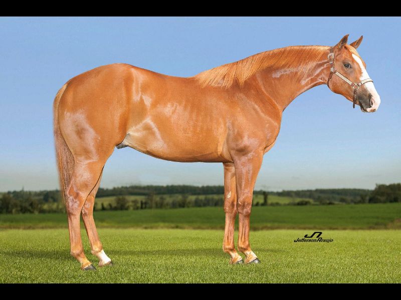 SECOND ACRE ARS
