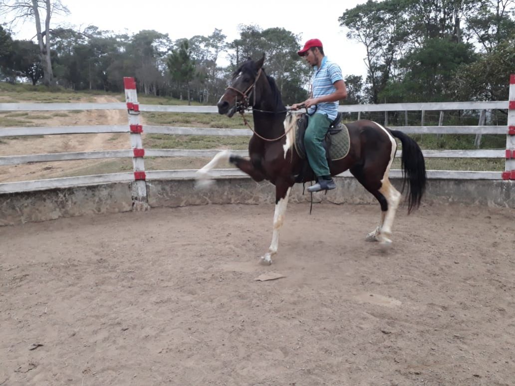 PRINCIPE RPK