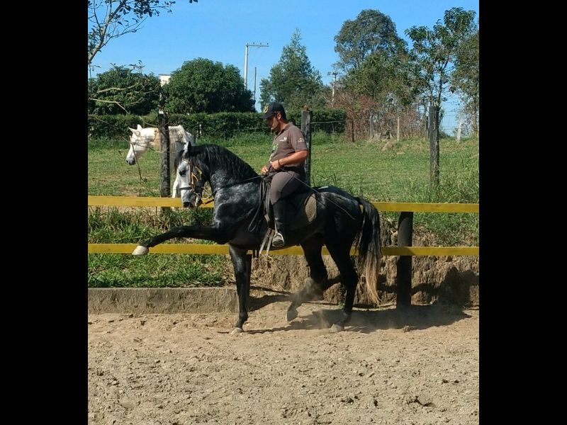INCA HRB