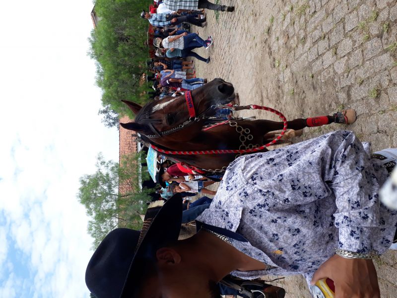DOLAR DO RIO VERDE