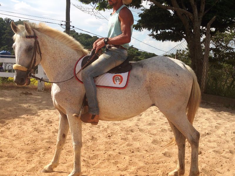 ESTRELA V.H.C