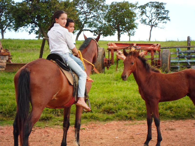 XAMÃ DO PEÃO ROXO