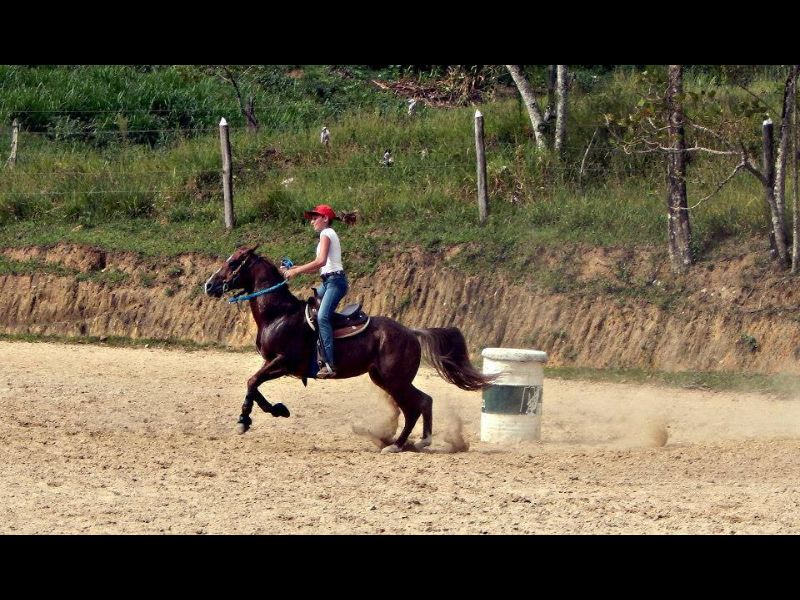 CATCHME DOC BID