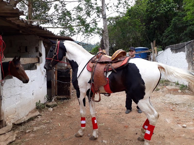 SOBERANO