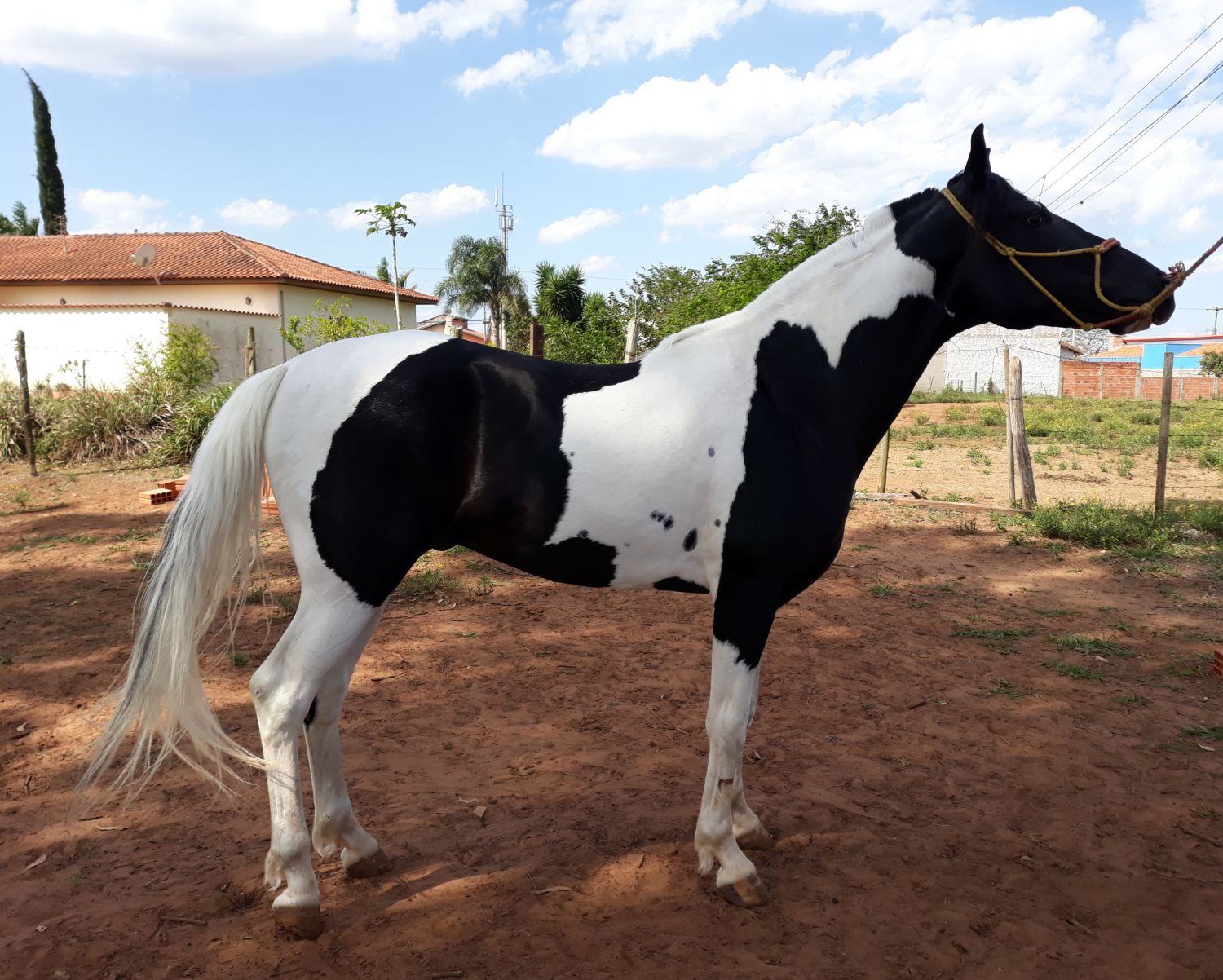 ITAÚ 4 LAGOAS