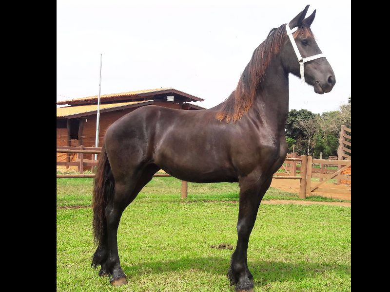 ZAFIRA