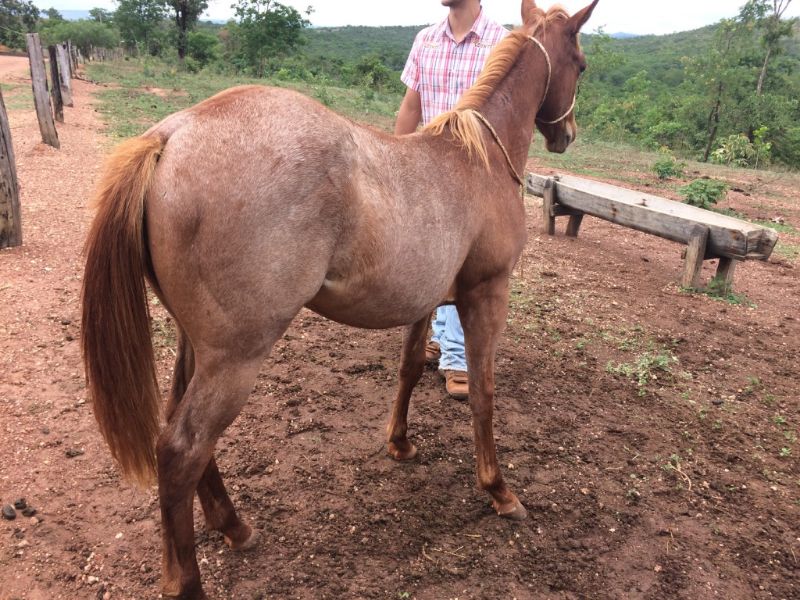 CACIQUE BOONSMAL
