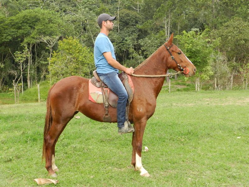 TRAJADA DE MARANCAR