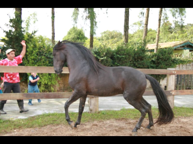 FAUSTO AG