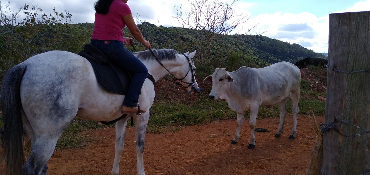 LACRIMA DE FOFO