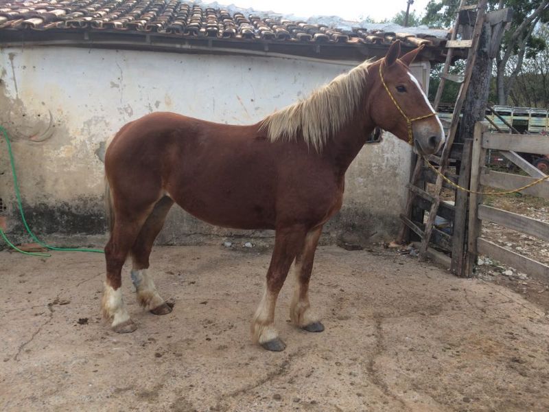 MENINA