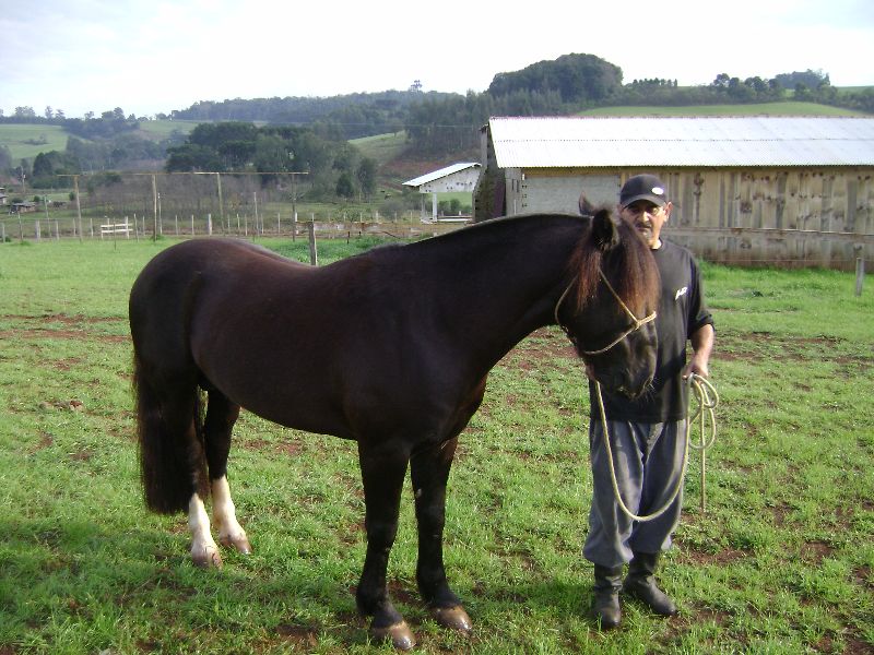 BUTIÁ ÚNICO 