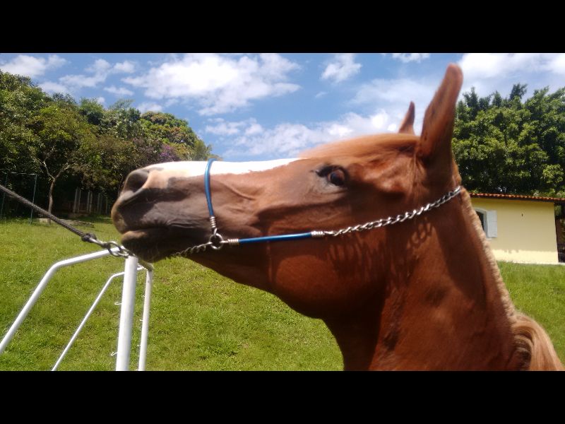 TAINAH DO OTNACER