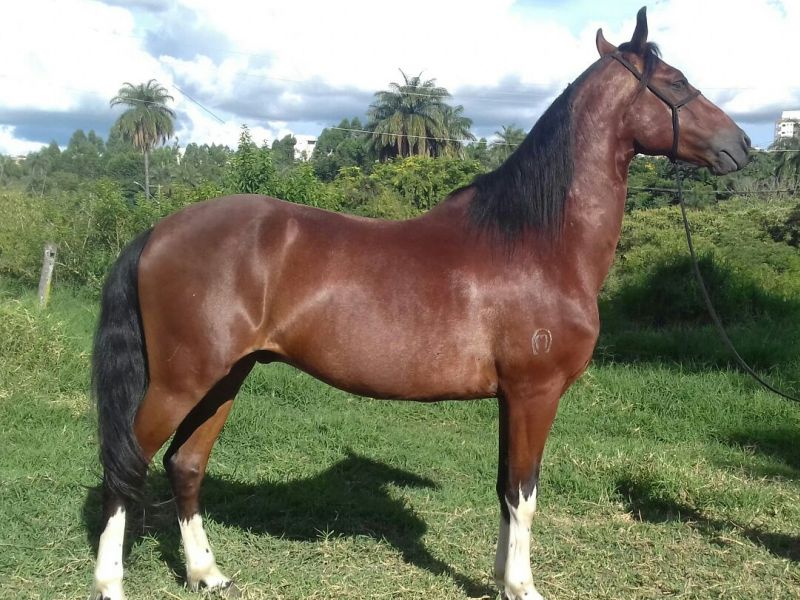 SAFARI DA SANTA ESMERALDA