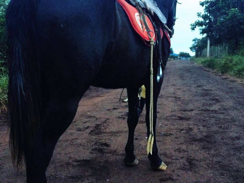 PRETO