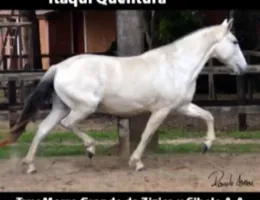 ITAQUI QUENTURA 