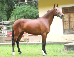 LETICIA DO RASF