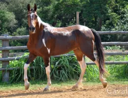 ITACIRA QUATRO LAGOAS