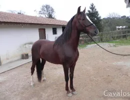 EMPYREO DA NATIVIDADE