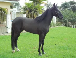 BATUQUE MAIRIFLOR