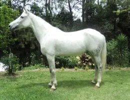 SHARON RD MOURA