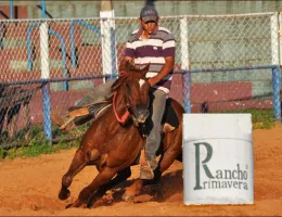 PLAYBOY SOLANO IN