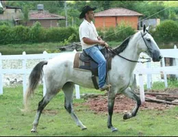 AMULETO DO BOM PENSAMENTO