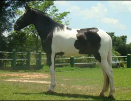 FURACÃO RJR